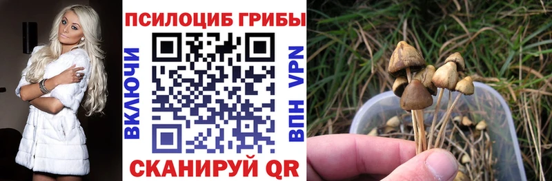 Галлюциногенные грибы Cubensis  Верхний Уфалей 